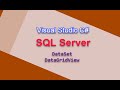 C# 44: SQL Server DataSet DataGridView