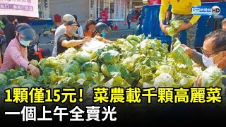 1顆僅15元！菜農載千顆高麗菜 　一個上午全賣光  @ChinaTimes