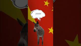 Why China loves Pakistani Donkeys? #shorts