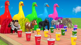 5 Giant Duck Cartoon,Cow,Elephant,Tiger,Lion,Dinosaur,Paint Wild Animals Crossing Fountain Animation