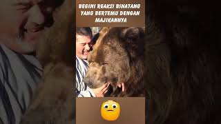 reaksi hewan bertemu majikan lamanya #shorts #shortvideo #beruang