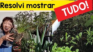 🌱 Minha HORTA NA SACADA DE CABO A RABO (como coube tanta coisa???😱)