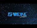 GWEIKE LASER NEW FACE