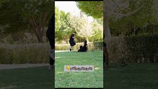 دوربین مخفی(دعوا با گنده لات)😂 #funny #فان #خنده #شیراز #prank #خنده_دار #دوربین_مخفی