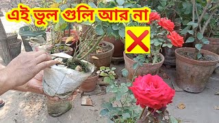 গোলাপ গাছ কেনার নিয়ম | গোলাপ গাছ কেনা  | Rose plant care