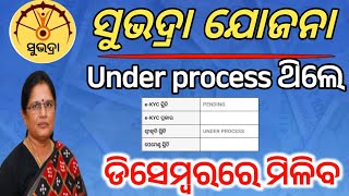 Under process ଥିଲେ ଡିସେମ୍ବରରେ ମିଳିବ ସୁଭଦ୍ରା ଟଙ୍କା/Subhadra under process problem/Subhadra Yojana new