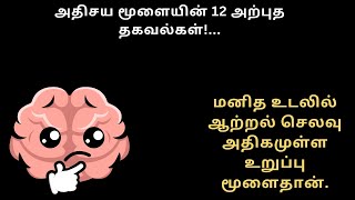 நமது மூளை,அதிசய மூளையின் 12 அற்புத தகவல்கள்!,The Brain,