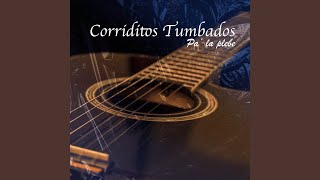 Natanael Cano El De La Codeina Chords Chordify