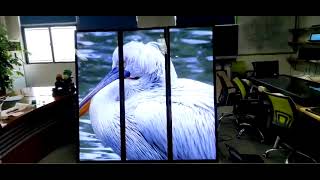 75inch stretch screen AVLink Video wall solution LCD digital signage 700nits 500nits