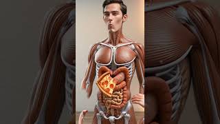 Inside Your Stomach After Eating Junk Food | 3D Body Animation