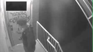 Suspect - Multiple Incidents of Vandalism in 11700 block of Parklawn Drive