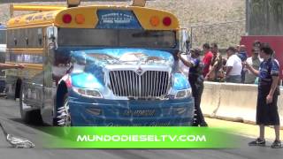 ALMA LIBRE DRAG RACING TRUCKS PUERTO RICO  SCHOOL BUS