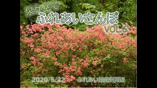 【自宅学習支援】Vol 20 泉ケ岳でふれあいさんぽ Vol 6