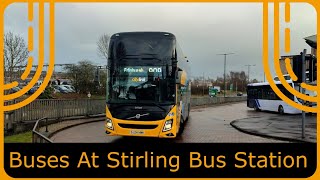 Buses at Stirling Bus Station! (25/02/2025)