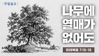 [2024-01-21] 나무에 열매가 없어도 | 이이레