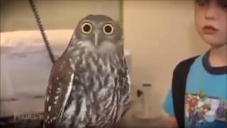 Drop it MEME Compilation