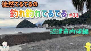 【徒然てるてるの釣れ釣れてるてる】#31 沼津市内浦　〜そろそろ冬眠の季節かな？とりあえず行ってみよー！！！〜