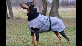 Manteaux d'hiver pour chien 2015-2016