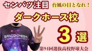 台風の目となれ！センバツ注目 ダークホース校 ３選！《第94回選抜高校野球大会》