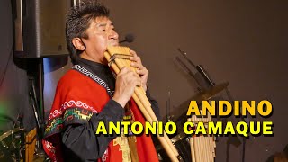 Andino - Antonio Camaque (Tema Original)