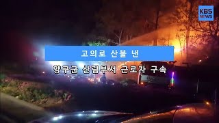 [KBS뉴스춘천] 고의로 산불 낸 양구군 산림부서 근로자 구속