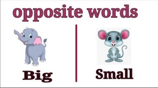 Opposite words in english | opposite words for preschoolers | Educational video | Antonym for kids