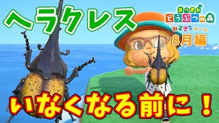 【あつ森】8月で消える虫（北半球）まとめ。ヘラクレスオオカブト、オウゴンオニクワガタ他。初心者必見【あつまれどうぶつの森】