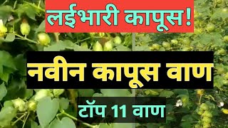 टॉप नवीन कापूस बियाणे।नवीन कपाशी वाण।बीटी कॉटन।cotton variety