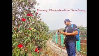 TREK THROUGH BARSEY RHODODENDRON SANCTUARY | LAND OF GURAS | OKHREY | HILLEY | BARSEY