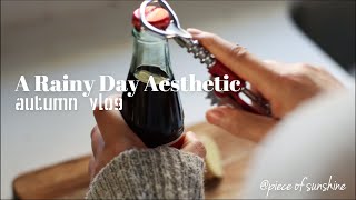 A Rainy Day Aesthetic | Have you ever drink hot Coca cola? | Autumn Vlog | Slow Living