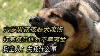 六岁男孩被恶犬咬伤，打完疫苗依然不幸离世，狗主人：关我什么事