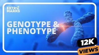 Did You Know? | Genotype & Phenotype | Biology