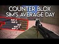 Counter Blox Dumb Momento - Sim's Average Day