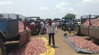 Today Nashik Maharashtra Onion Live Rate |आज नासिक प्याज लाइव रेट | Rk Global Export