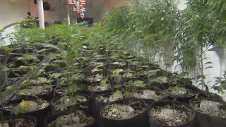 New bill would allow employers to commit random drug tests on employees