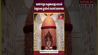 સાળંગપુર શ્રી કષ્ટભંજન દેવ હનુમાનજી દાદાને કેસુડાના ફૂલોનો કરાયો શણગાર । KalTak24 News