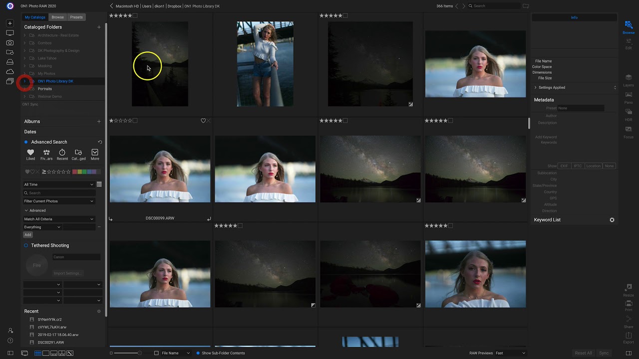 Improved Searching and Browsing - Photo RAW 2020.1