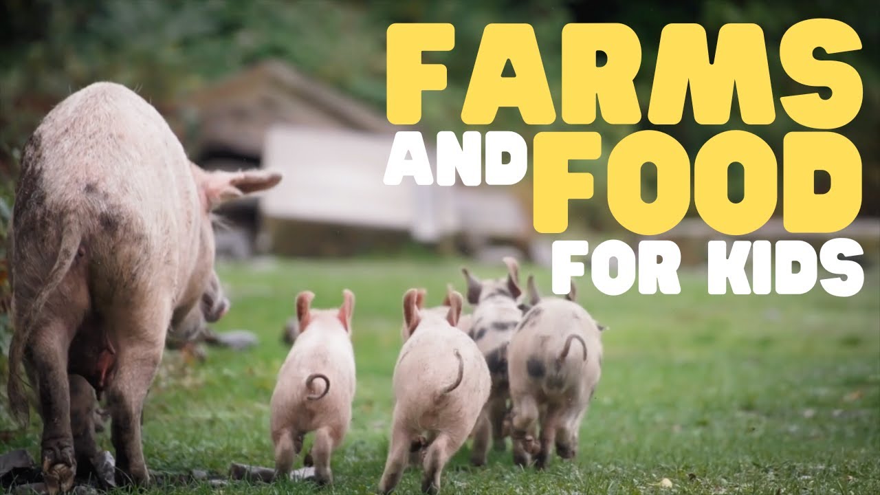 Farms And Food For Kids Learn How Food Comes From A Farm To Your Farms And Food For Kids Learn How Food Comes From A Farm To Your