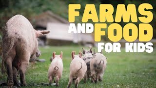 Farms and Food for Kids | Learn how food comes from a farm to your table