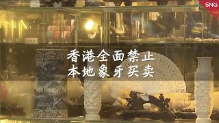 香港全面禁止本地象牙买卖 商会表示清货有困难