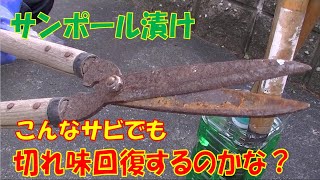 驚愕 剪定ばさみサビ取り サンポール漬けるだけで切れ味回復するか? 研ぐ必要ありますか？防錆剤 切れない方は研ぐだけじゃなく隙間の調整が必要かもしれません。調整方法