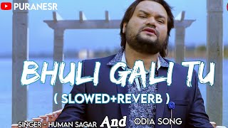 Bhuli Gali Tu || Slowed+Reverb || Human Sagar || Odia Romentic Song || Puranesr Music || @gumansagar
