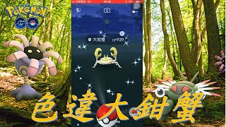 天天有色違(六)色違大鉗蟹Pokémon go20190611