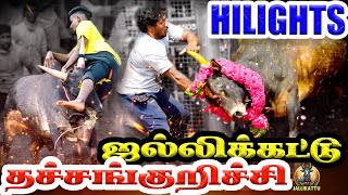 தச்சங்குறிச்சி ஜல்லிக்கட்டில் சிறந்த காளைகள் Tachangurichi Jallikattu Hilights @ILoveJallikattu360