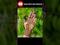 Simple Mehndi Design / Back Hand Mehndi Design / Eid Special Mehndi Design #shorts