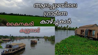 കുട്ടനാടൻ ഗ്രാമ കാഴ്ച്ചകൾ കാണാം| കൈനകരി|Kainakary village, kuttanad, Alappuzha #travel #kerala