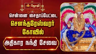 சென்னை சைதாப்பேட்டை சௌந்தரேஸ்வரர் கோவில் - ஆனி பெருவிழா - அதிகார நந்தி சேவை