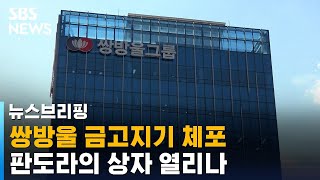 쌍방울 금고지기 체포…'대북송금' 판도라의 상자 열리나 / SBS / 주영진의 뉴스브리핑