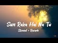 Sun Raha Hai Na Tu♥️ (Slowed×Reverb) Female Version@ShreyaGhoshalOfficial / @ankittiwarimusic