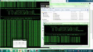 Python Status code Check Host and Fix module